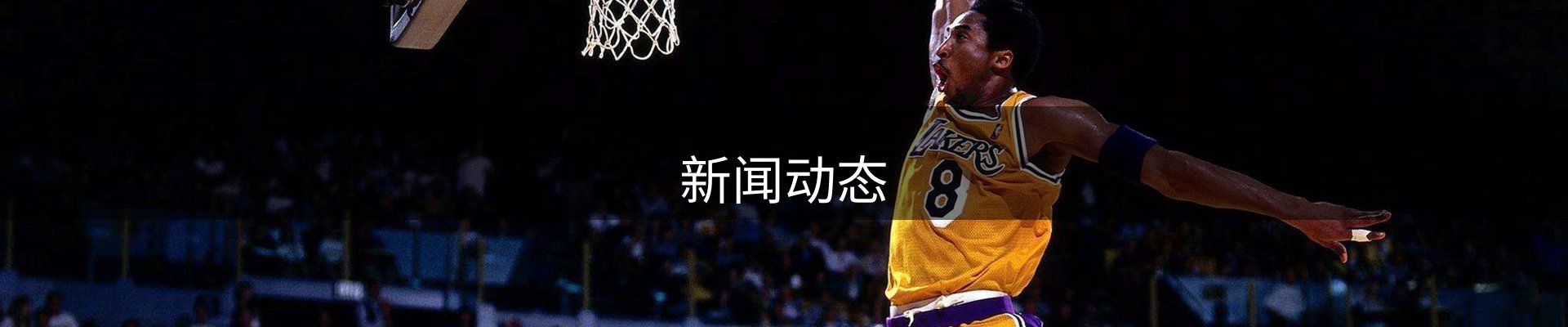 新闻动态